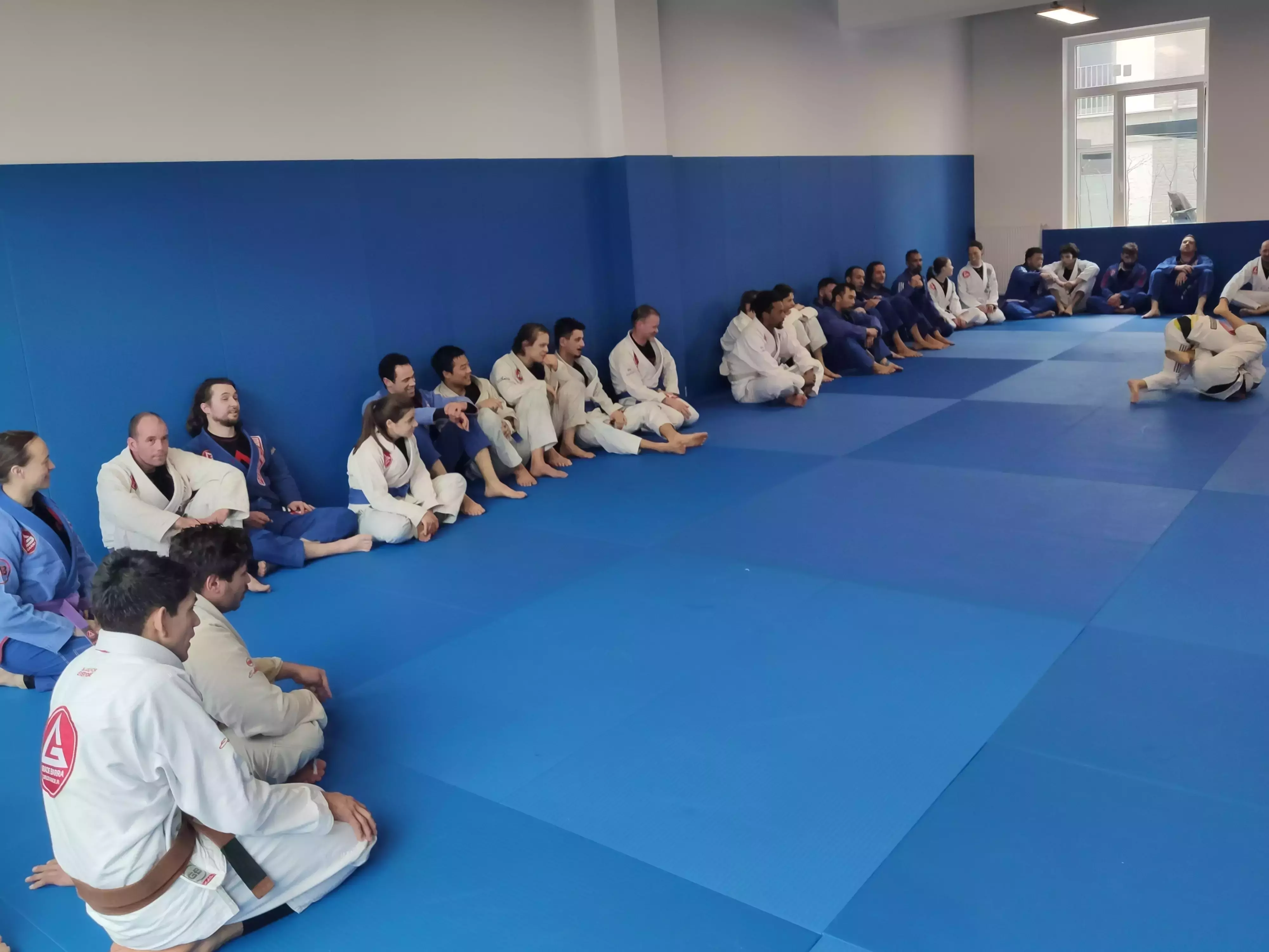 Brazilian Jiu-Jitsu training session