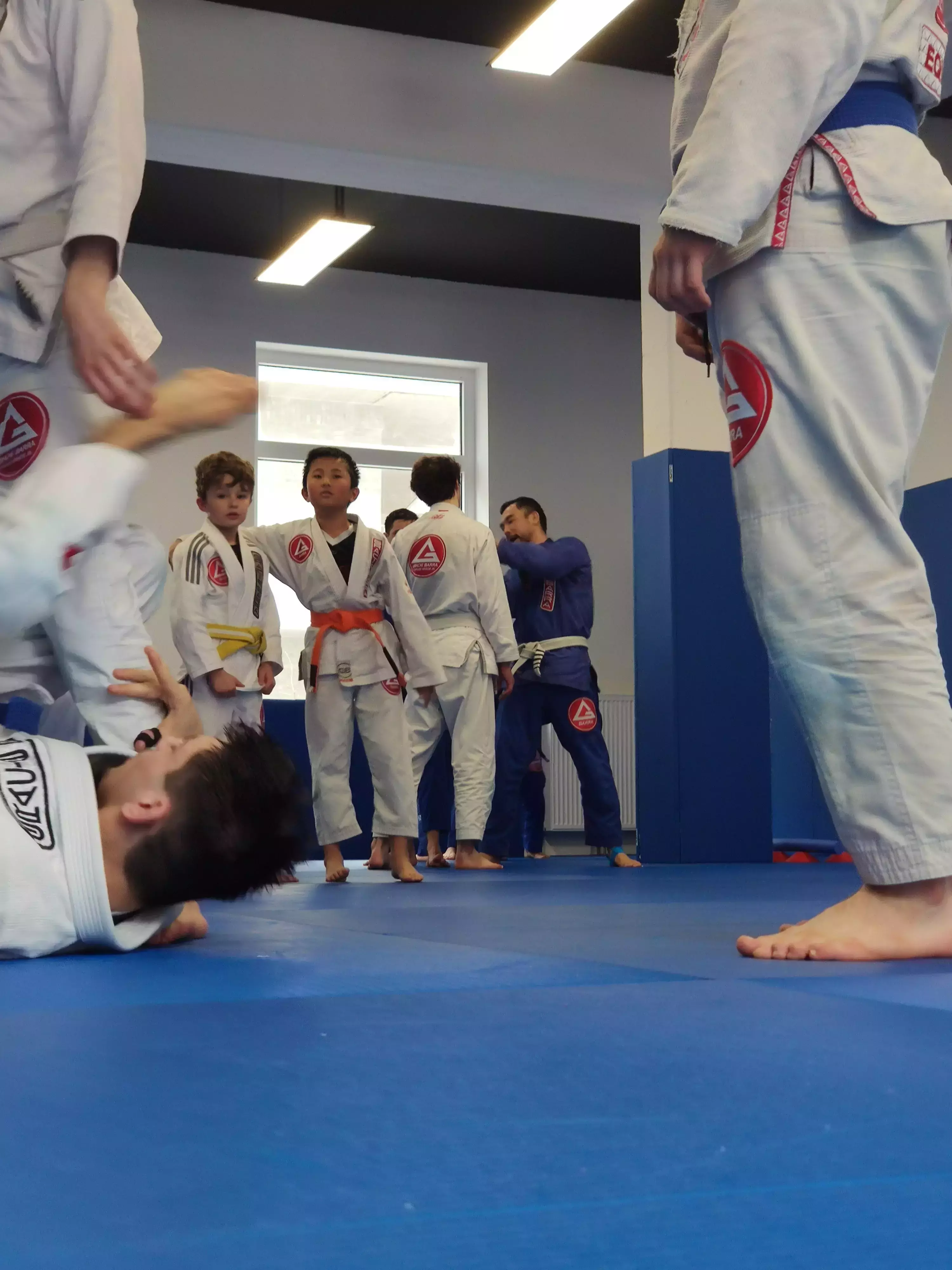 Brazilian Jiu-Jitsu training session