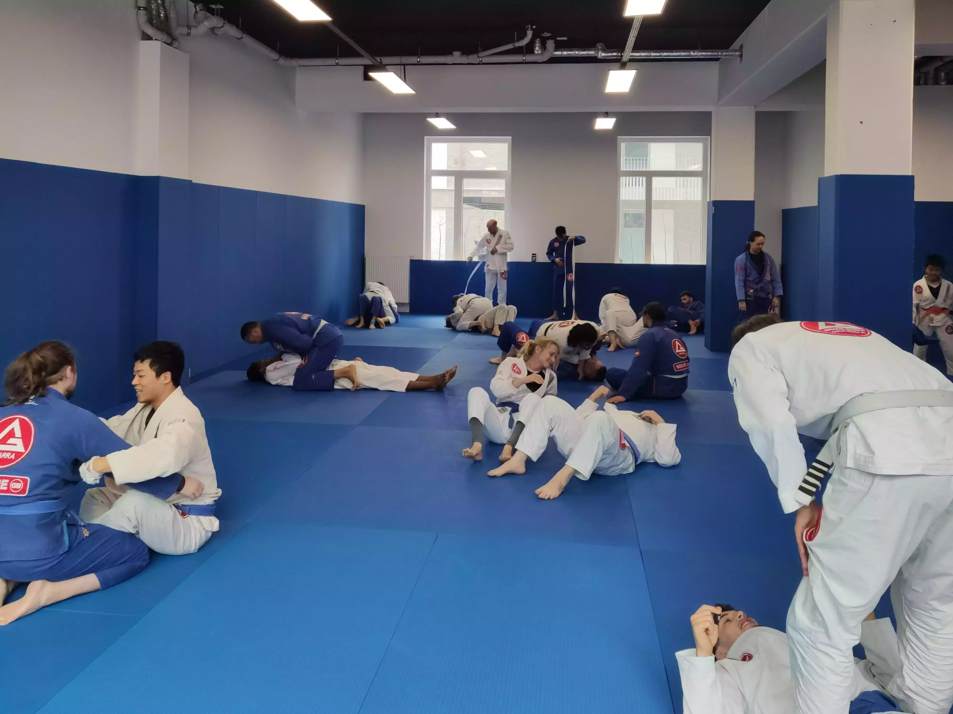 Brazilian Jiu-Jitsu training session