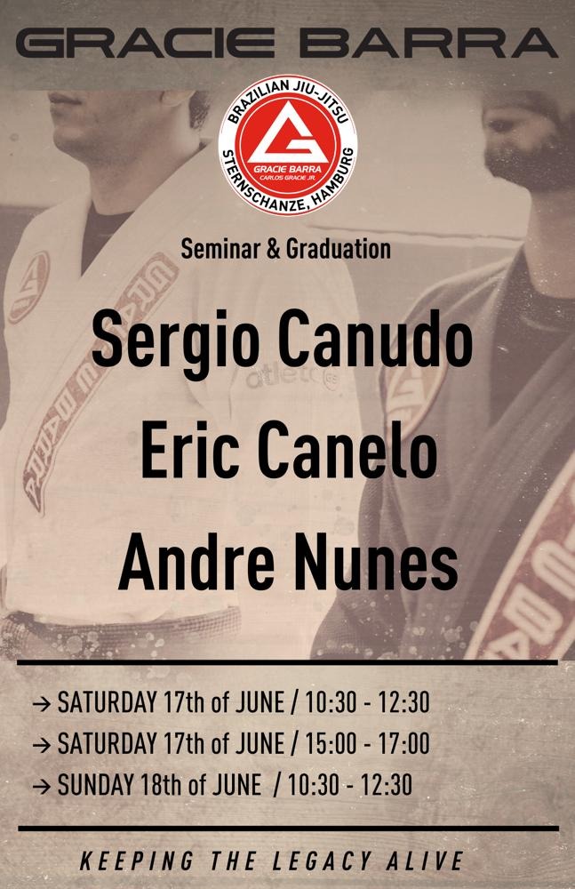 bjj flyer eric bergmann